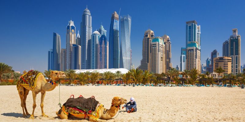 Red Sea Airlines Dubai Office in UAE